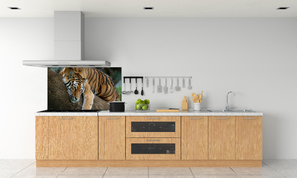 Panneau crédence cuisine Tigre sur un arbre