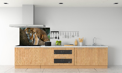 Panneau crédence cuisine Tigre sur un arbre