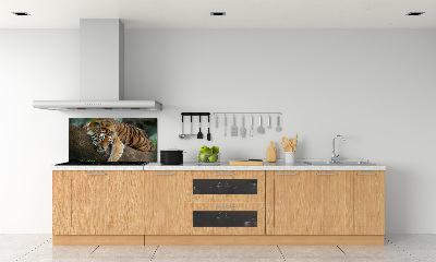 Panneau crédence cuisine Tigre sur un arbre