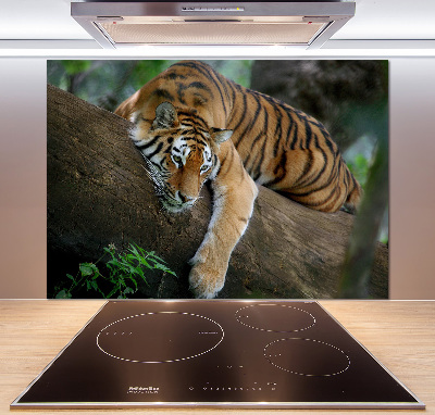 Panneau crédence cuisine Tigre sur un arbre