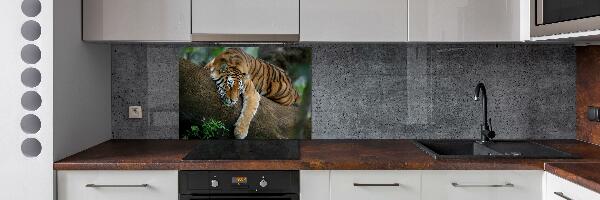 Panneau crédence cuisine Tigre sur un arbre