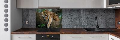 Panneau crédence cuisine Tigre sur un arbre