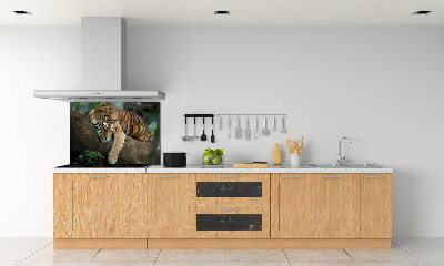 Panneau crédence cuisine Tigre sur un arbre