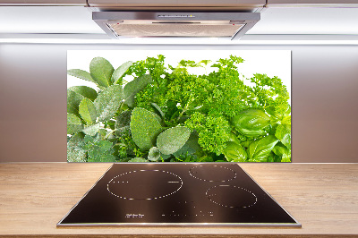 Verre pour crédence Herbes