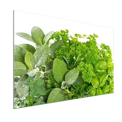 Verre pour crédence Herbes