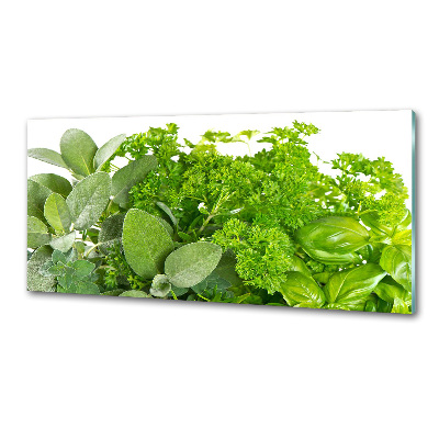 Verre pour crédence Herbes