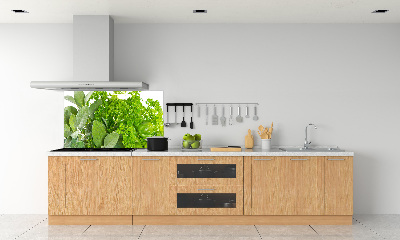 Verre pour crédence Herbes