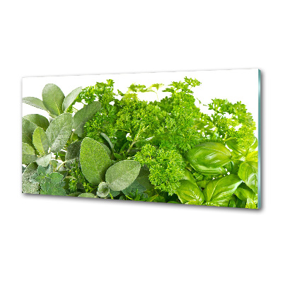 Verre pour crédence Herbes