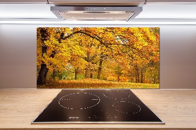 Crédence en verre trempé Automne dans le parc