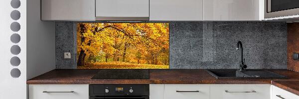 Crédence en verre trempé Automne dans le parc