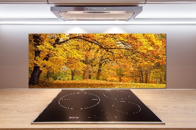 Crédence en verre trempé Automne dans le parc