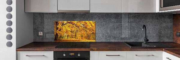Crédence en verre trempé Automne dans le parc