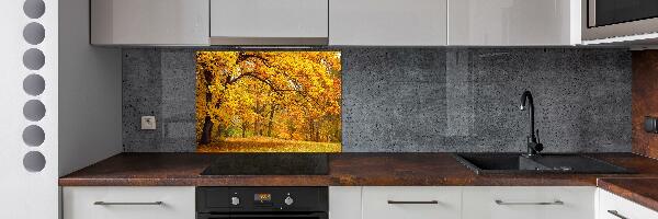 Crédence en verre trempé Automne dans le parc