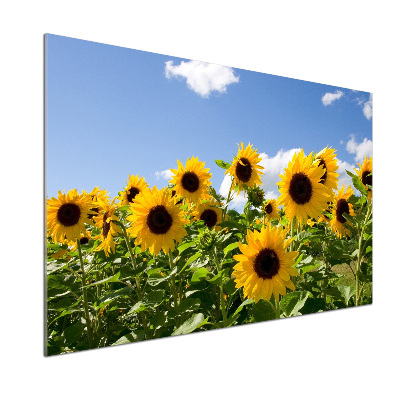 Crédence en verre avec motif Tournesols
