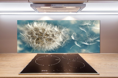 Crédence en verre cuisine Les gonflables