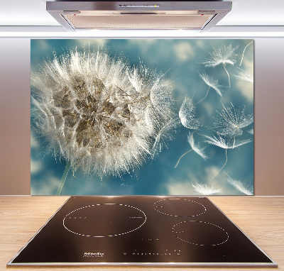 Crédence en verre cuisine Les gonflables