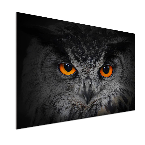 Panneaux muraux cuisine Oeil de hibou diabolique