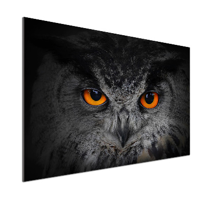 Panneaux muraux cuisine Oeil de hibou diabolique