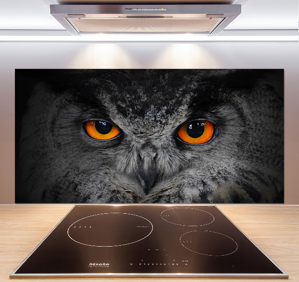 Panneaux muraux cuisine Oeil de hibou diabolique