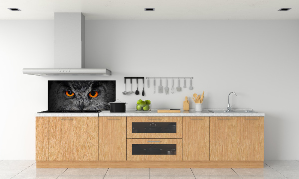 Panneaux muraux cuisine Oeil de hibou diabolique