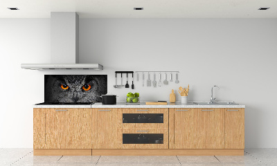 Panneaux muraux cuisine Oeil de hibou diabolique