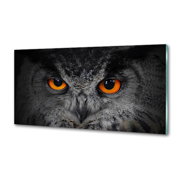 Panneaux muraux cuisine Oeil de hibou diabolique