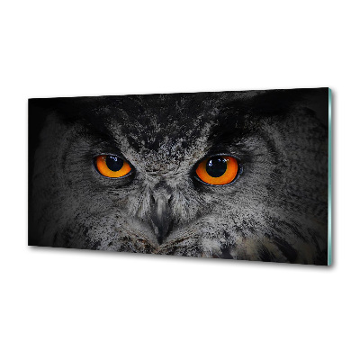 Panneaux muraux cuisine Oeil de hibou diabolique