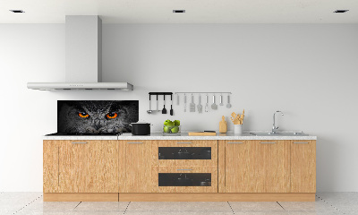 Panneaux muraux cuisine Oeil de hibou diabolique