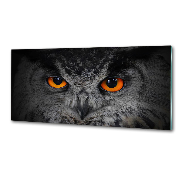 Panneaux muraux cuisine Oeil de hibou diabolique