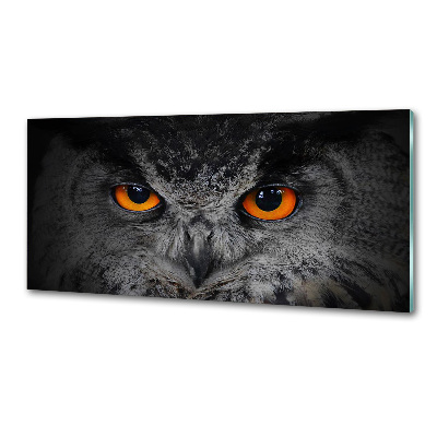 Panneaux muraux cuisine Oeil de hibou diabolique