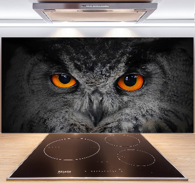 Panneaux muraux cuisine Oeil de hibou diabolique
