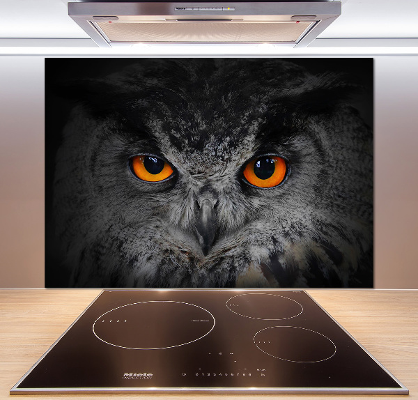Panneaux muraux cuisine Oeil de hibou diabolique