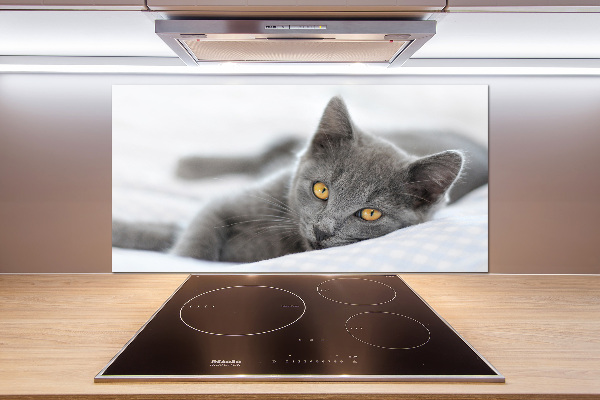Crédence en verre avec motif Chat gris