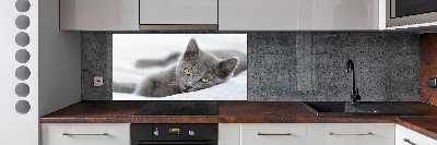 Crédence en verre avec motif Chat gris