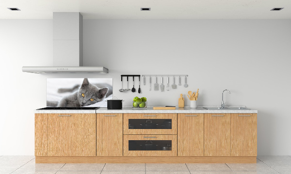 Crédence en verre avec motif Chat gris
