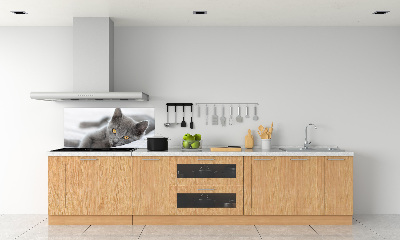 Crédence en verre avec motif Chat gris