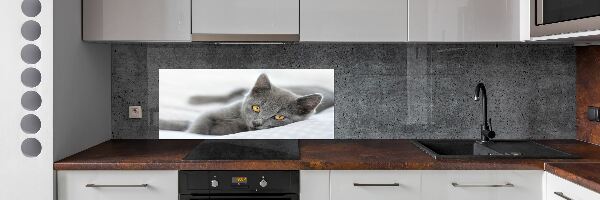 Crédence en verre avec motif Chat gris