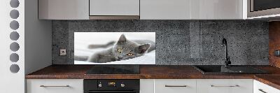 Crédence en verre avec motif Chat gris