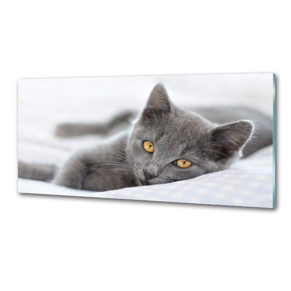 Crédence en verre avec motif Chat gris
