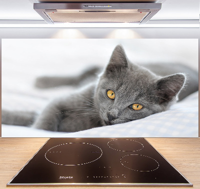 Crédence en verre avec motif Chat gris