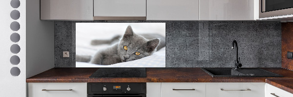 Crédence en verre avec motif Chat gris