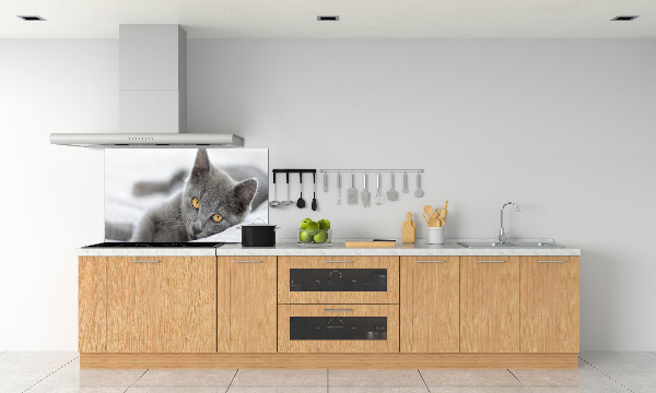 Crédence en verre avec motif Chat gris
