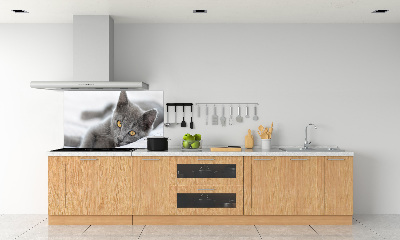 Crédence en verre avec motif Chat gris