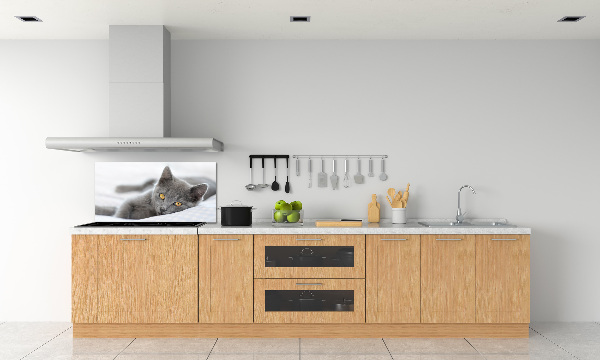 Crédence en verre avec motif Chat gris