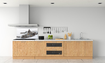 Crédence en verre avec motif Chat gris