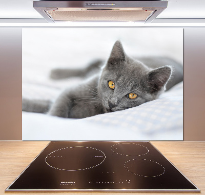 Crédence en verre avec motif Chat gris