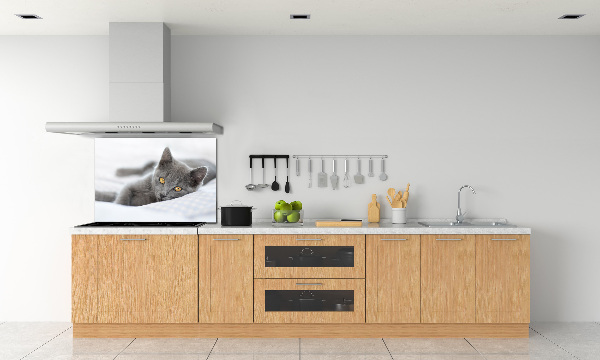 Crédence en verre avec motif Chat gris