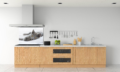 Crédence en verre avec motif Chat gris