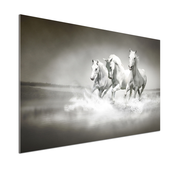 Crédence cuisine en verre Chevaux blancs