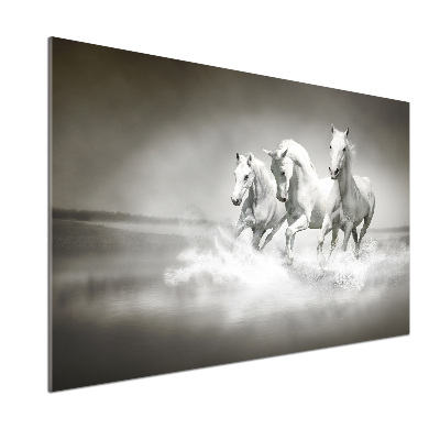 Crédence cuisine en verre Chevaux blancs